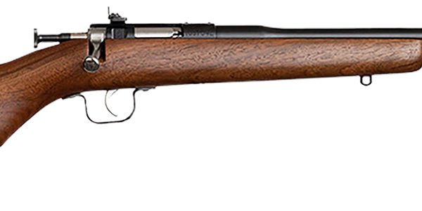 Chipmunk 00001 Youth 22 LR 1rd 16.13" Blued Steel Barrel & Receiver, American Walnut Fixed Wood Stock