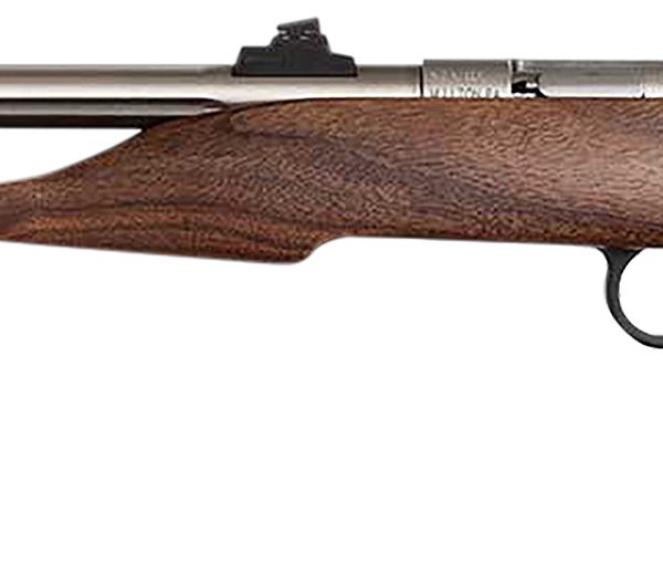 Chipmunk 40101 Hunter  Youth Frame 22 S/L/LR Single Shot 9" Threaded Stainless Steel Barrel, Walnut Frame, EZ Loader