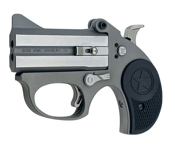 BOND ARMS STINGER 22LR SS 3" FS